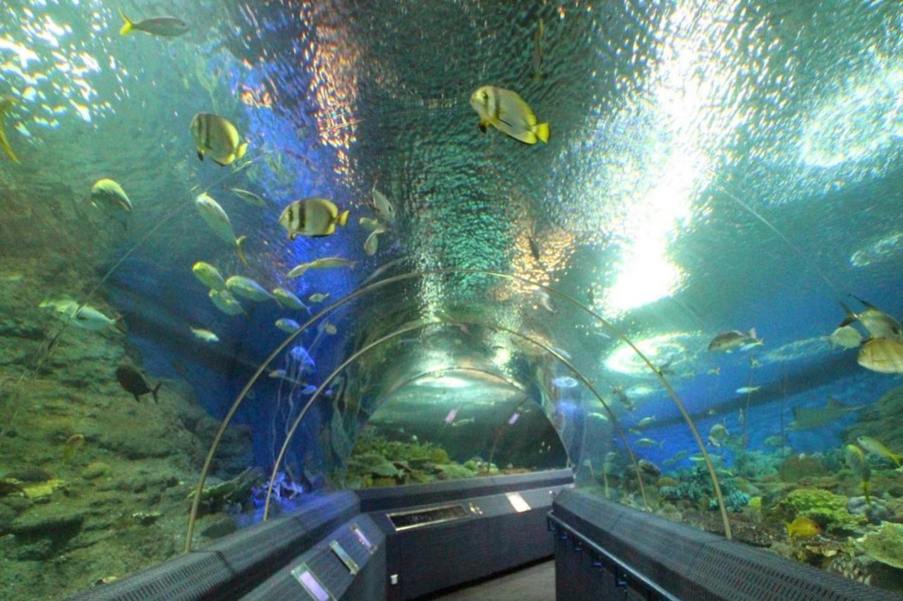 Oyo 549 Maesri Resort Pattaya Exteriör bild